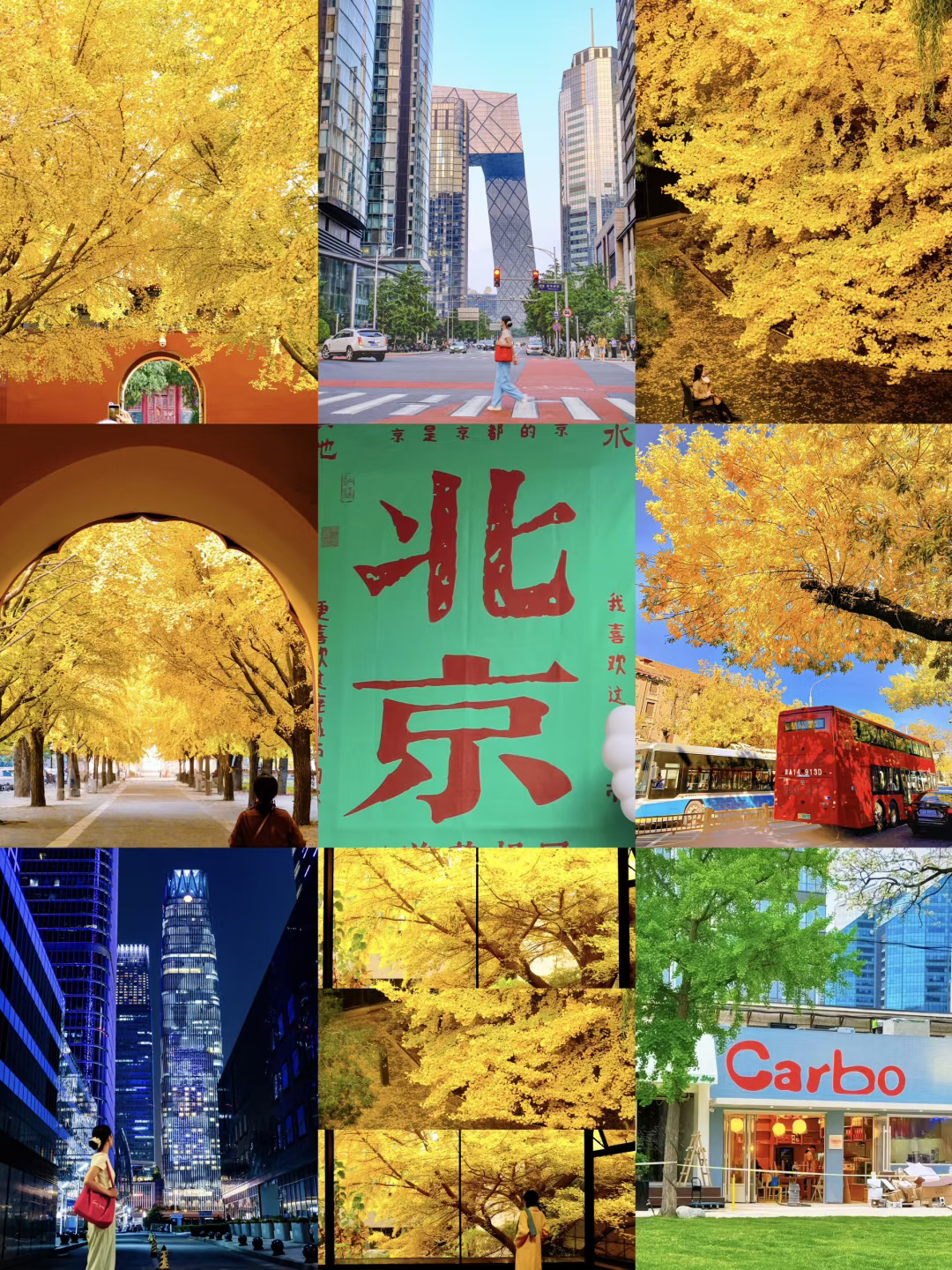 秋天如果来北京🍂我会带你走这条赏秋路线❗️