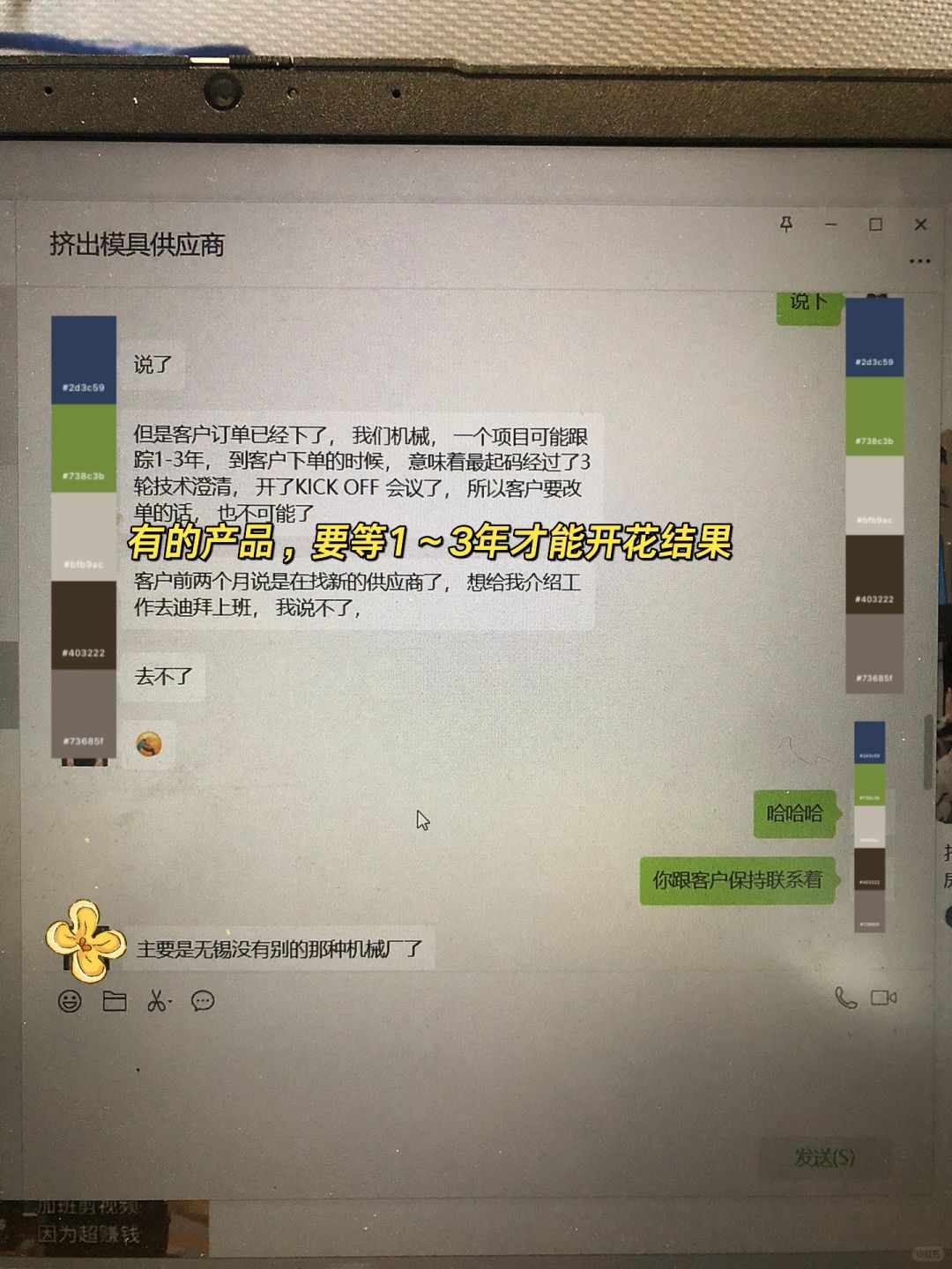 今年靠外贸选品，年入30万