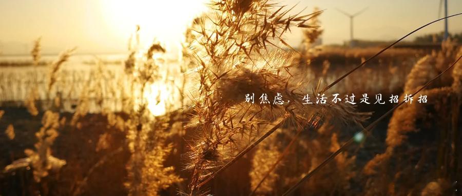 别焦虑，生活不过是见招拆招很喜欢一句诗：“莫愁千里路，自有到来风。”人这一生，每