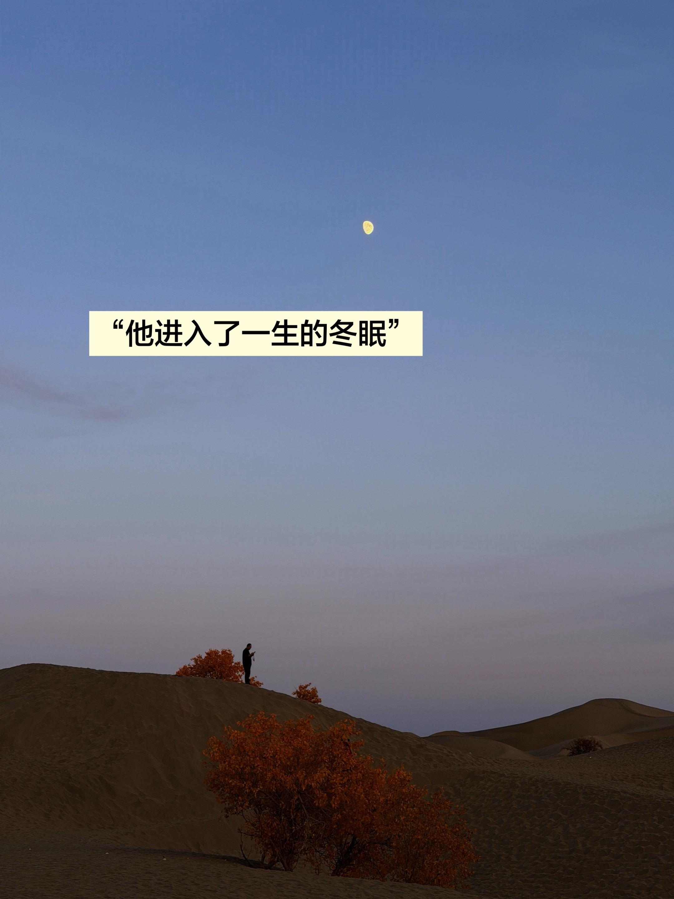 他进入了一生的冬眠。跟一个姐姐聊天聊到这几天的社会案件 谈到了死亡的话...