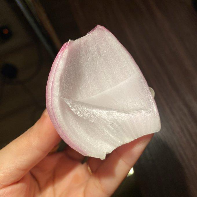 你切洋葱时，见过它藏在微观世界里的样子吗？
 
平时剥开的洋葱薄膜，只是平平无奇
