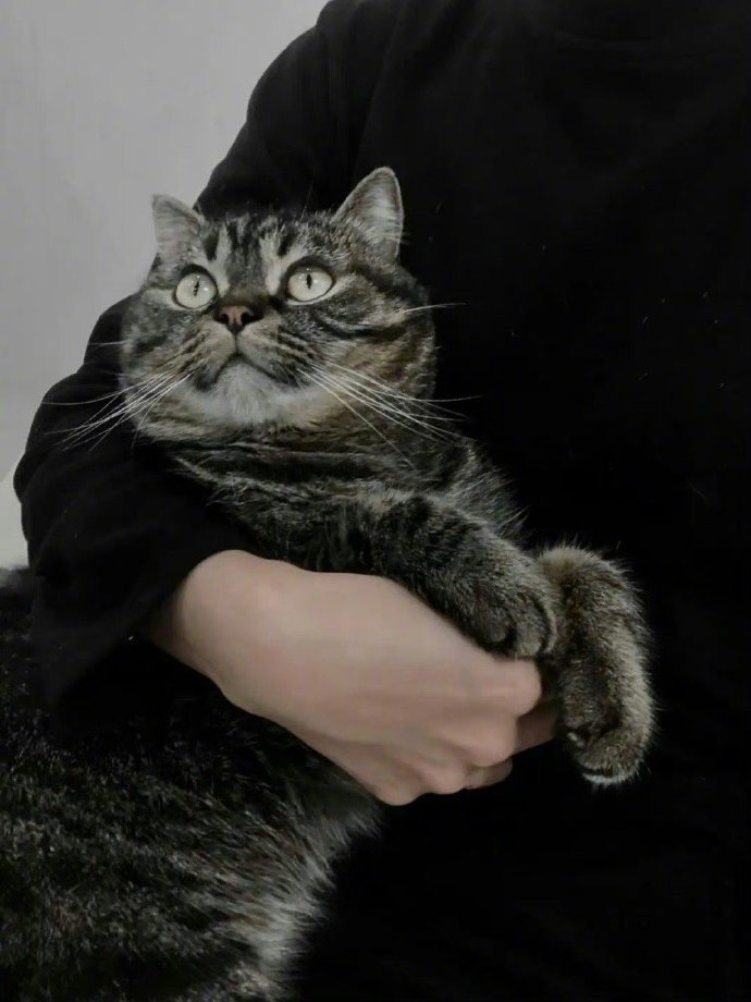 能让我死心塌地的,从来不是长得帅,是尊重,是理解,是专一,是忠诚,是把我放在第一