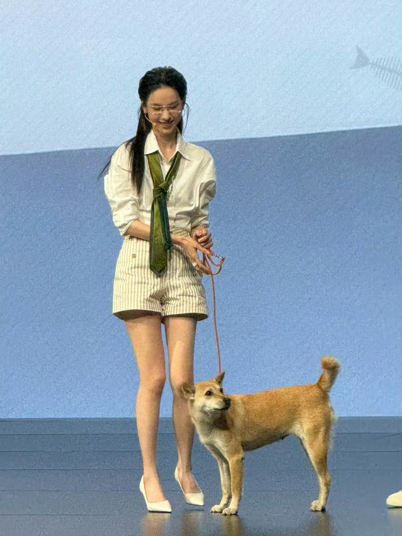 今天陈都灵零跑线下活动，她戴上眼镜真的有一种高智（本来就高智）美女的感觉，而且嘟