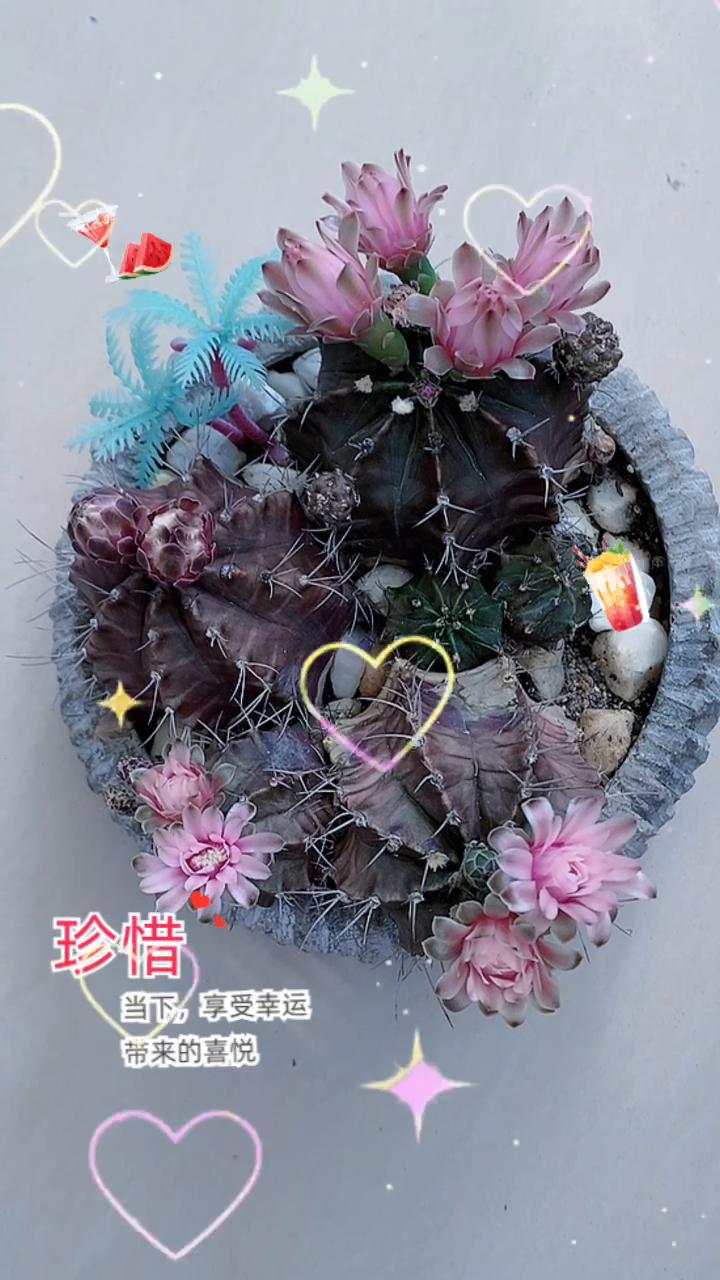 珍惜当下，享受幸运带来的喜悦。
高考的第一条祝福，我想送给我最爱的孩子。愿我的孩