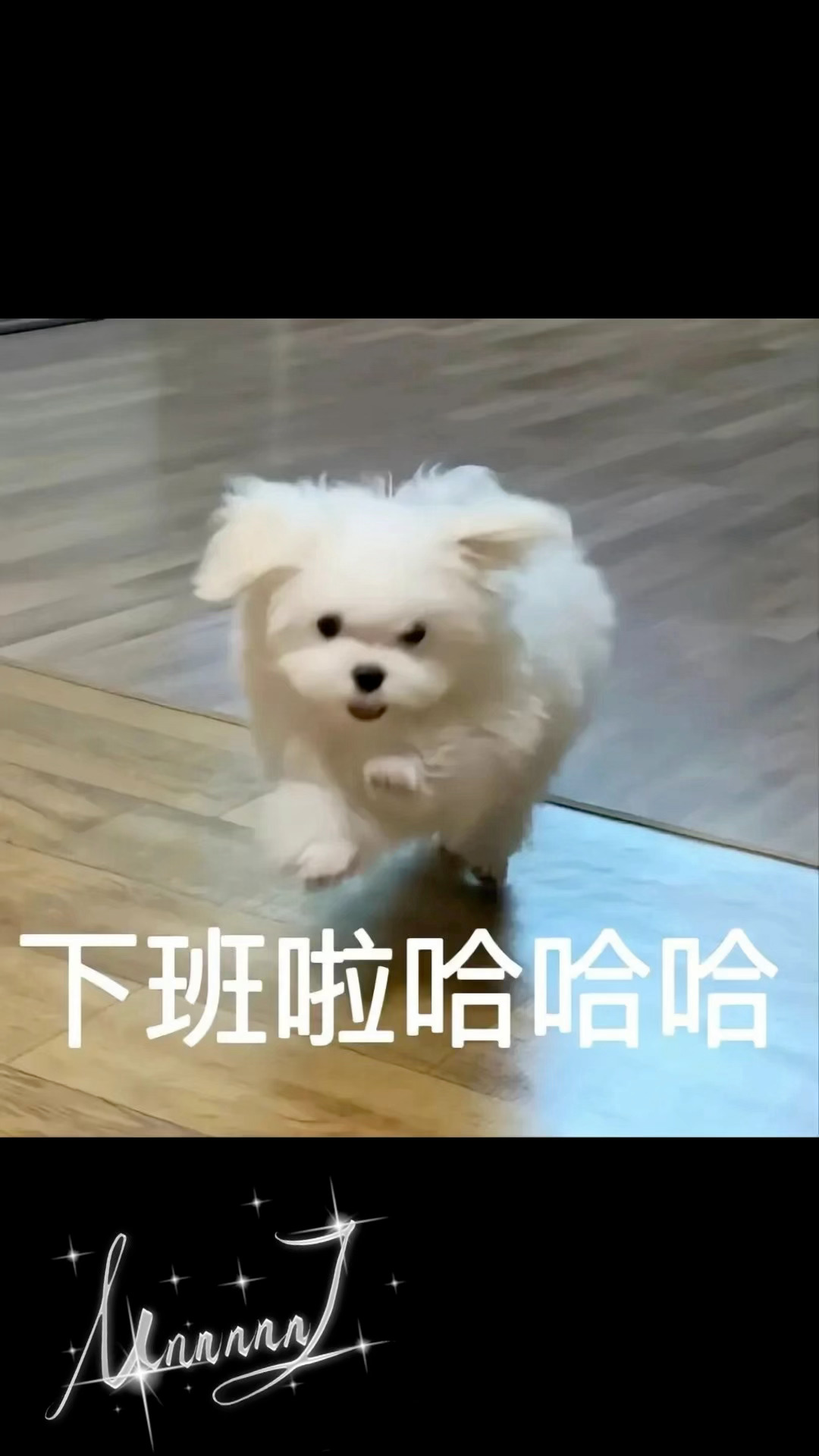 到点了，一拳把自己打晕，开睡。没睡的米米们，请悄悄的取餐