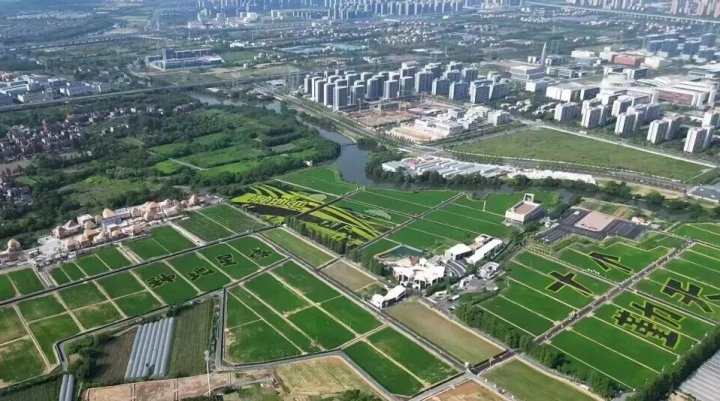 一档综艺如何带火一片农田？十个勤天的“家”升级了
