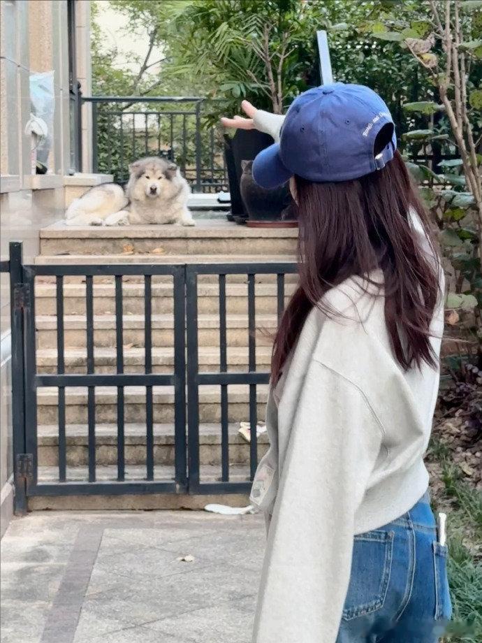 #李一桐有点艺术细菌在身上# 李一桐秋游晒美照，和萌宠狗狗欢乐多！画笔一挥抽象风