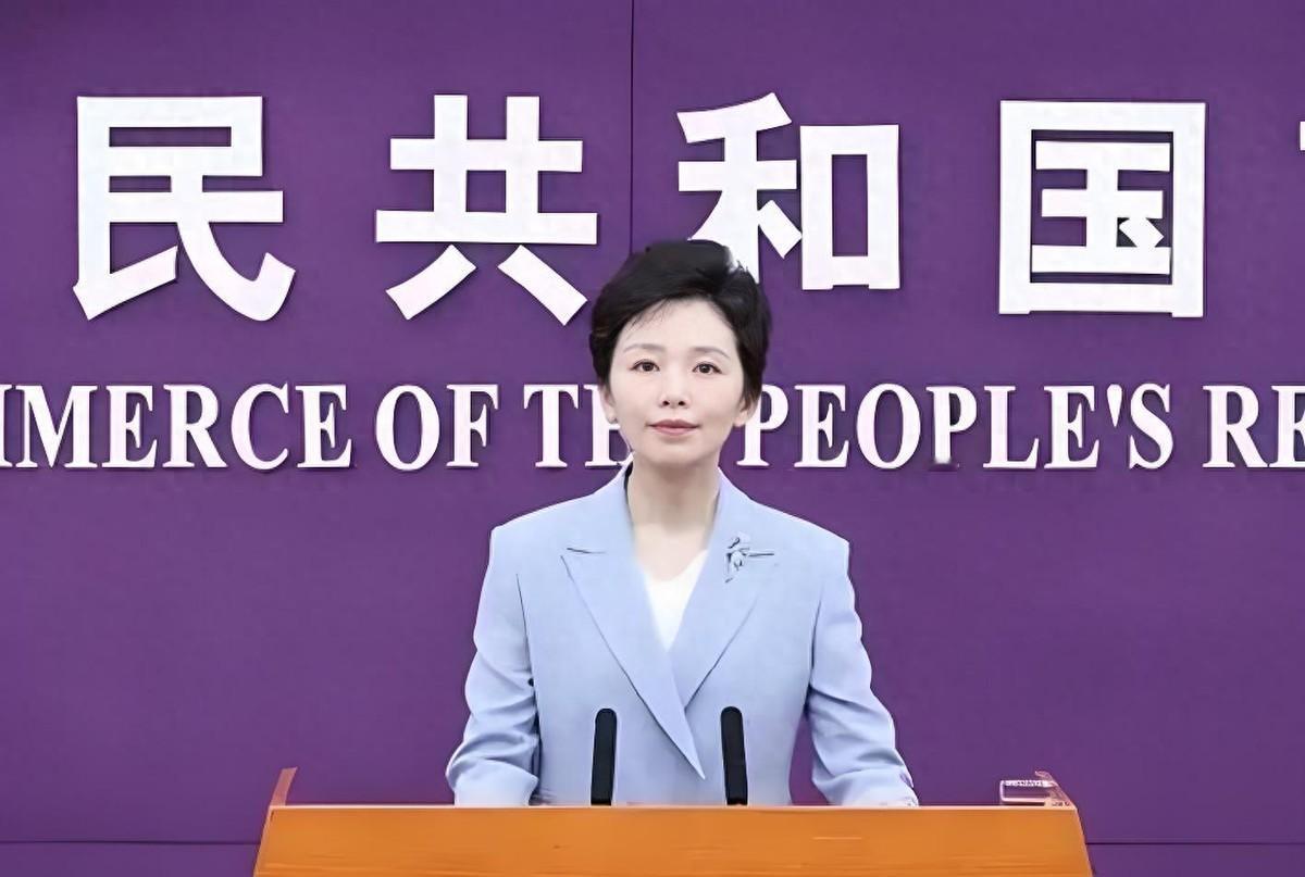 商务部一纸公告，直接把中欧之间这场围绕安全、能源和产业链的较量，推到了台前。谁能
