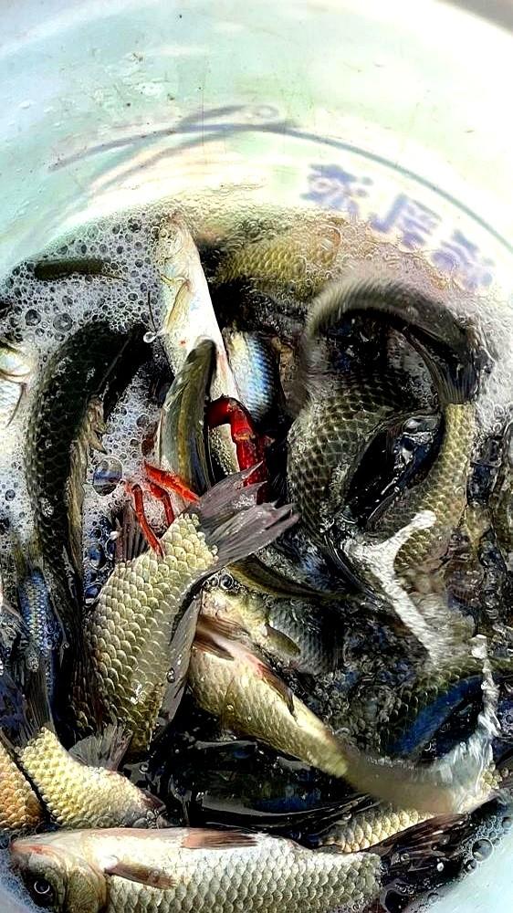 渔具店的套路，真让人头大！

总跟你说长子线才能钓大鱼，还推那种“免调漂”成品线