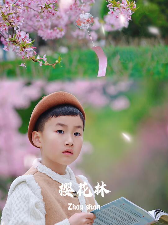 舟山旅行 | 这场盛大的樱花，是沈院给的排面