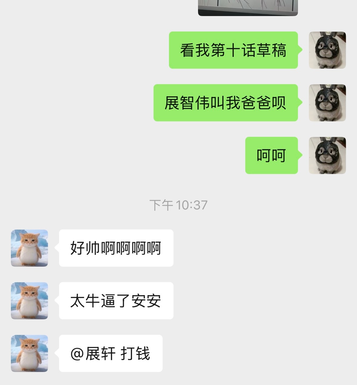 企鹅猫和小偷兔