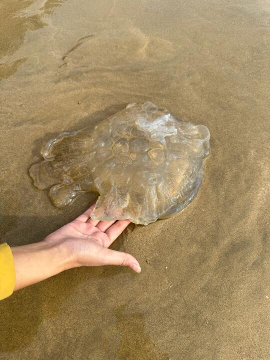 带孩子去海边 带娃去海边 假期去海边 宝宝去海边 带着宝贝旅行 宝宝看...
