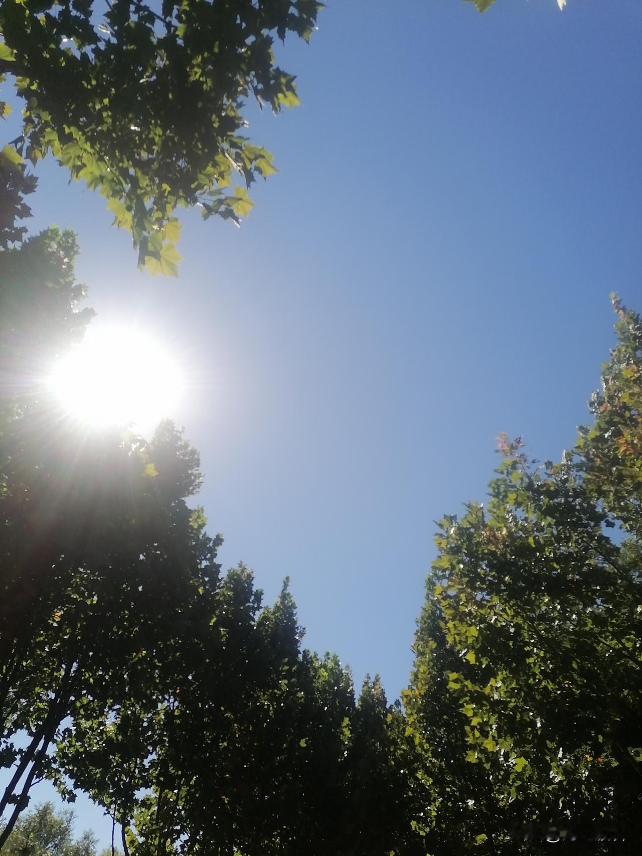 现实生活太残酷了。

看一个中年女人和他先生的对话，顿时觉得生活只有压力，困惑和