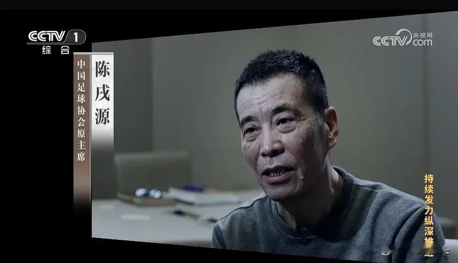 关于足协反腐，前国足主帅李铁，足协主席陈戌源的纪录片，我有多个疑问搞不清

1，