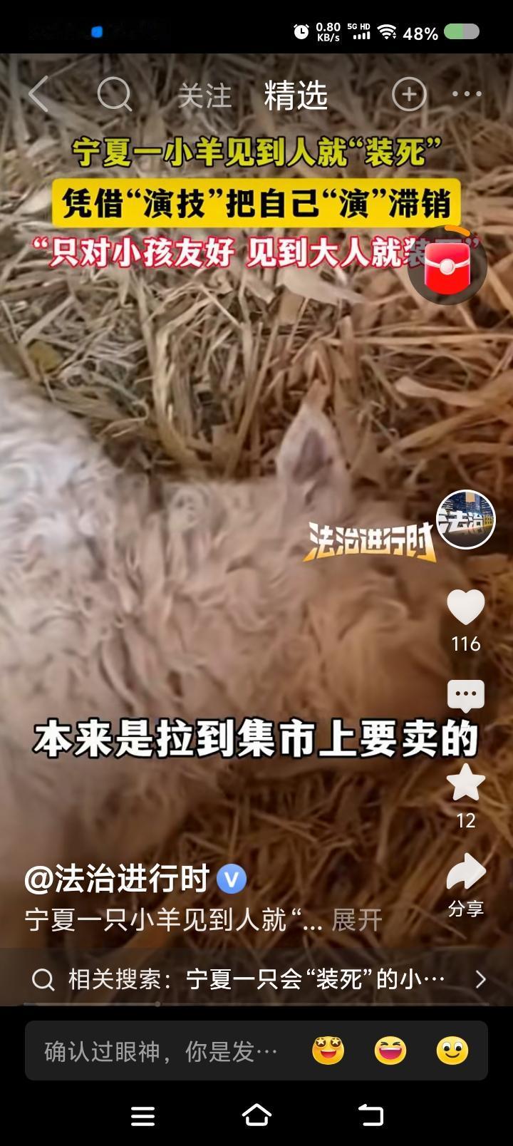 装死的羊——
据报道，有只小羊，主人把它拉到集市上卖。它躺那装死。买羊的一看，不