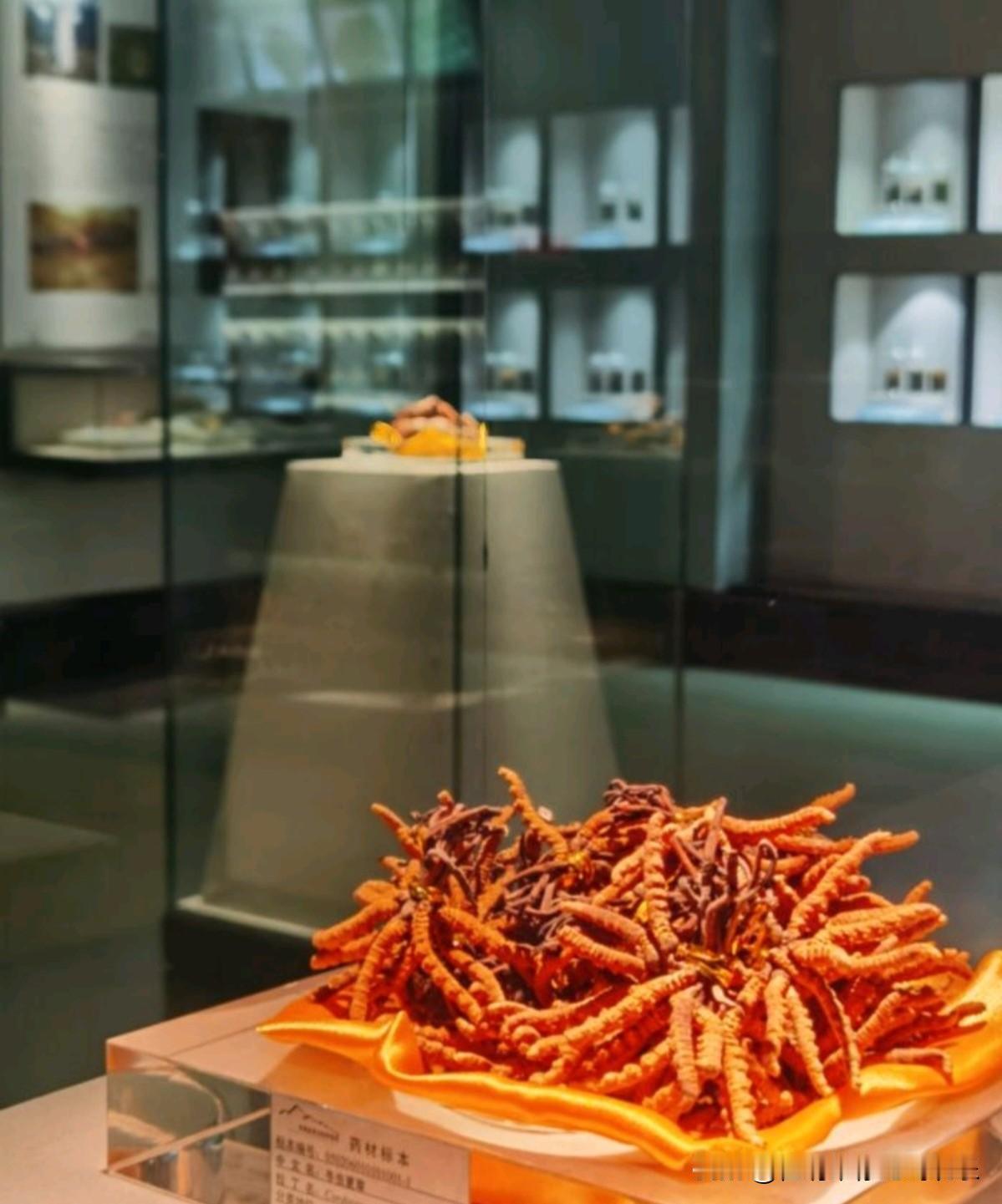 一人一句新年祝福马上就要到新年了，祝愿我们每一个人都能健健康康幸福快乐