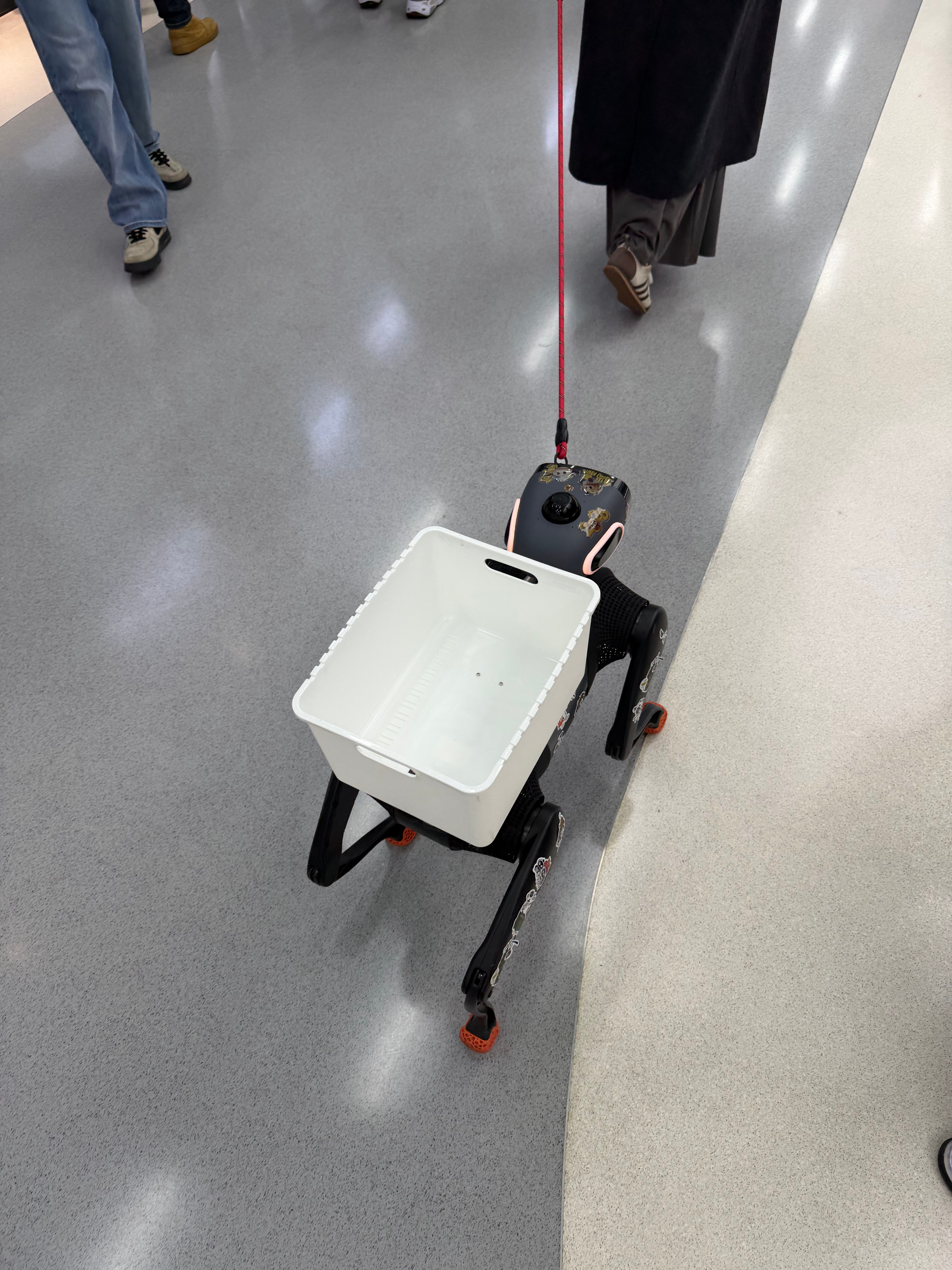 为了带大头来参加欣旺达的活动，我从广州飞到杭州，再回家带上大头开车三个小时到了兰