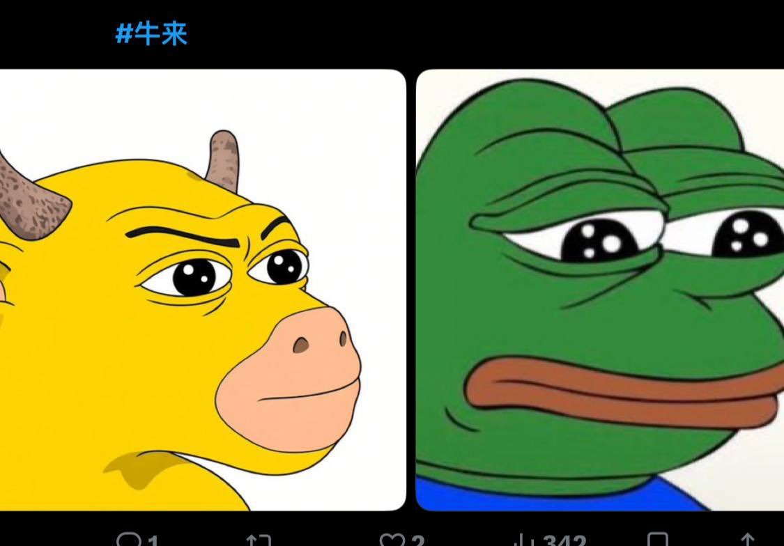 迄今为止，你最看好的meme是哪一个？ 