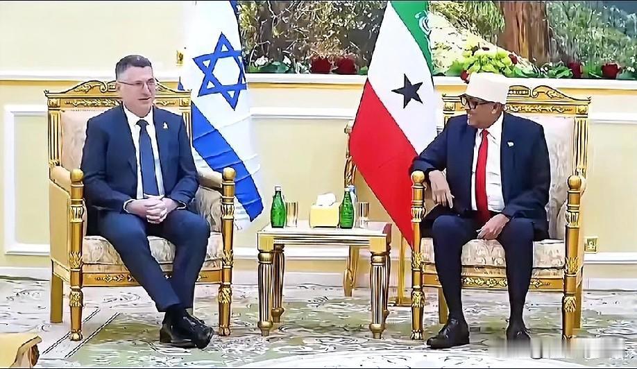 1月9日凌晨的最新消息，速报，全都不容错过，第五条：以色列与索马里兰洽谈修建军事