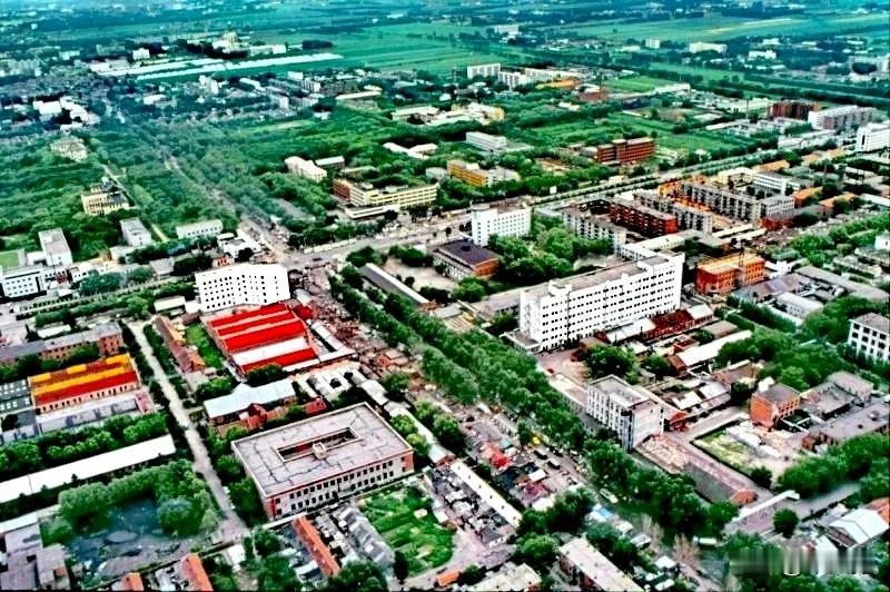 走进南岗区学府路看医大二院，新华印刷厂，哈尔滨制药总厂。