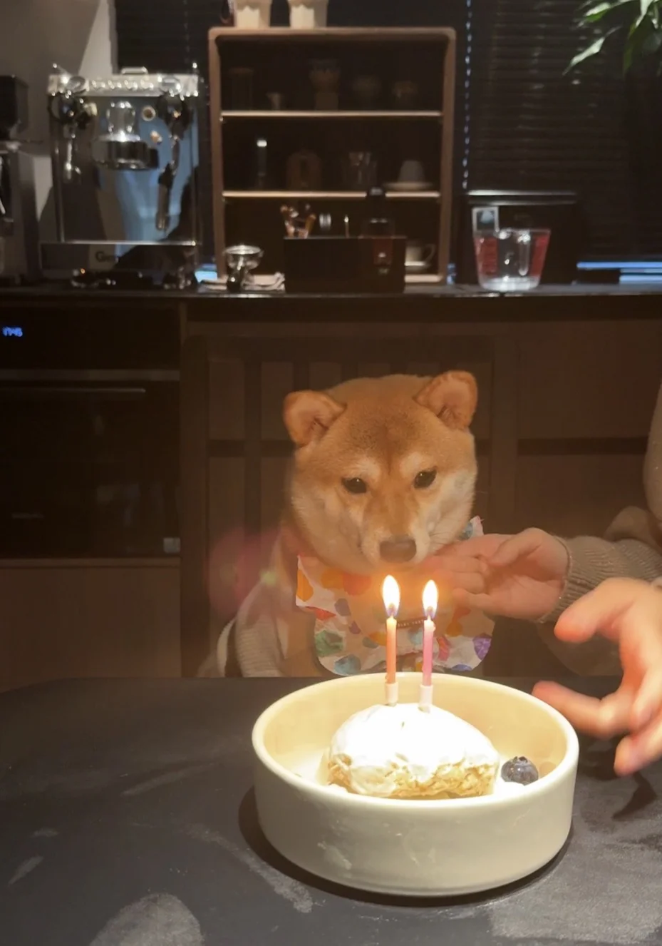 左滑一起跟小咩许愿