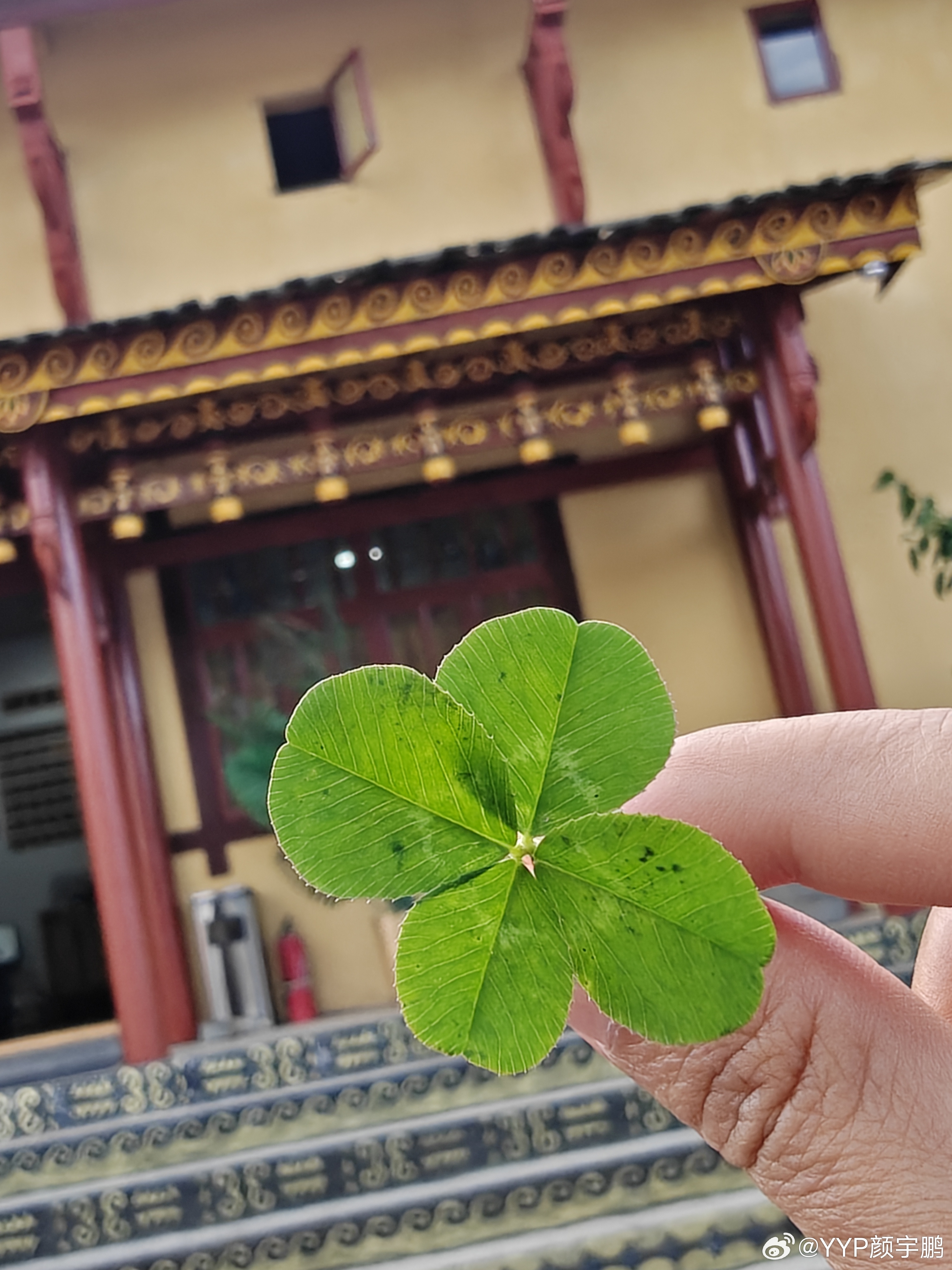 今天的色彩 凉山