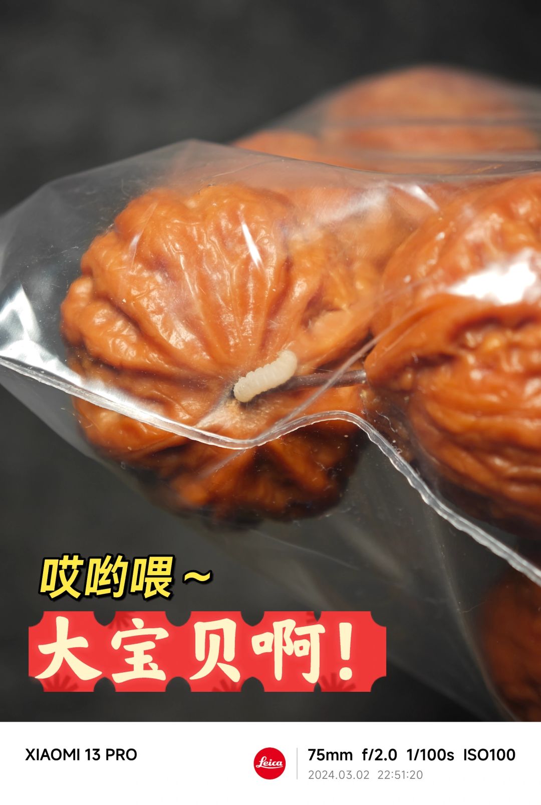 NO.408 这是谁的大宝贝儿