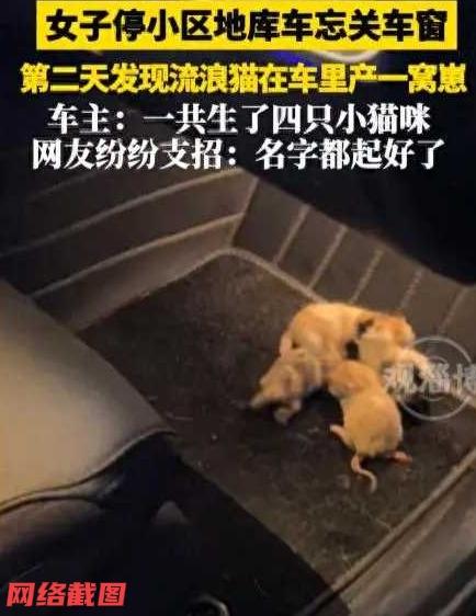 安徽有女子把自己的车，停在地下车库中，还忘记关闭车边一面的车窗了。

于是此刻发