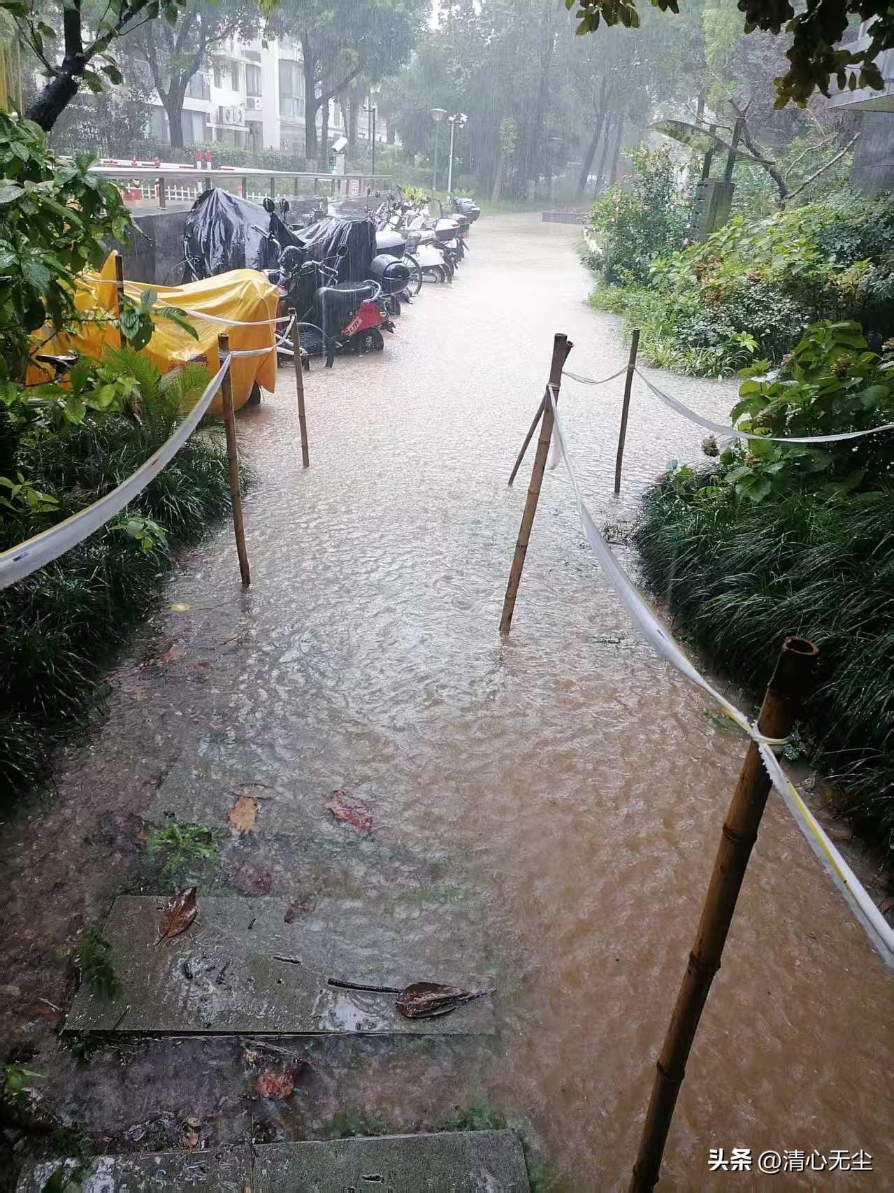 一个台风，到处是排水问题，说明雨水排不过来，雨下的很大，看到北门商户水漫过脚踝，