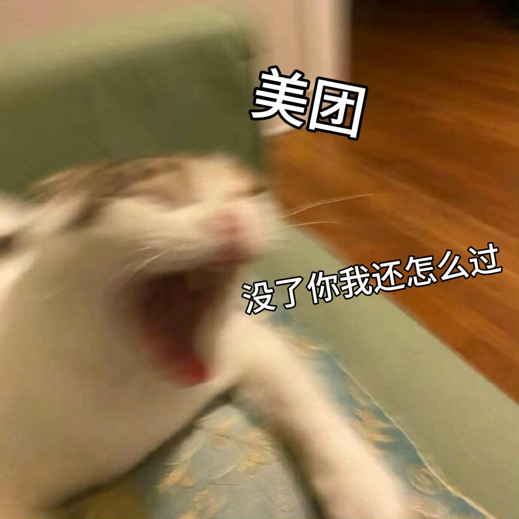 雪饼猴带400只小猴燃爆东北超东北超正式开赛东北超四百小猴齐聚助阵，东北超激情开