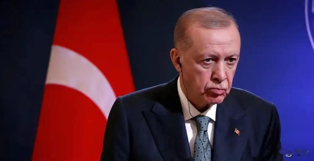 2025年最后一天晚上的深夜，土耳其可谓是突然对中国发大招，埃尔多安正式签署总统