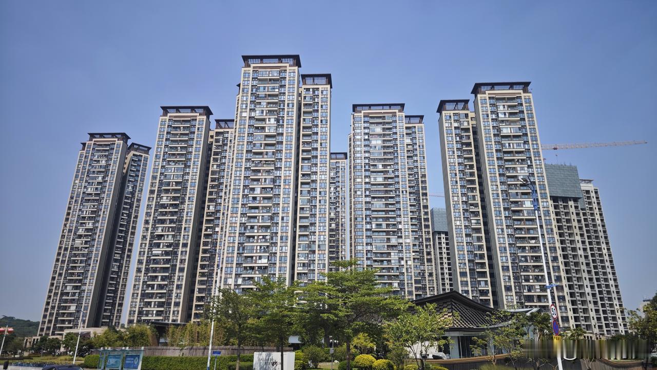 黄阁新盘十里方圆！这入住率还是杠杠的！其实黄阁这近年来的几个新楼盘入住率都颇高的