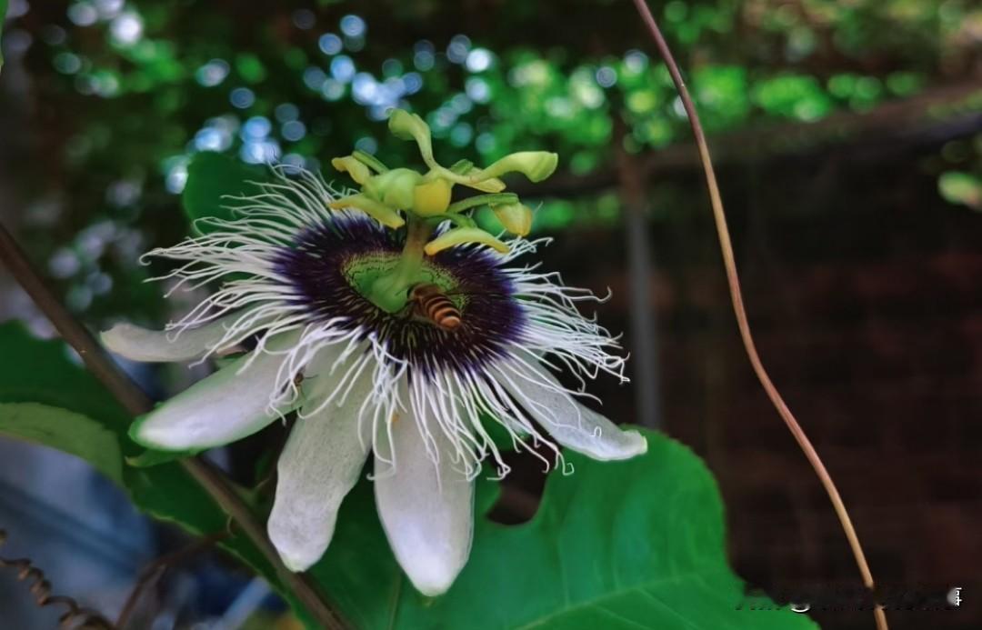 最深的城府是光明磊落
最狠的谋略是以诚待人
最高的境界是大道至简

东西积累的越