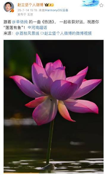 赵立坚推介单依纯的热汤赵立坚发了单依纯的热汤赵立坚推介单依纯的热汤，一起收获好运