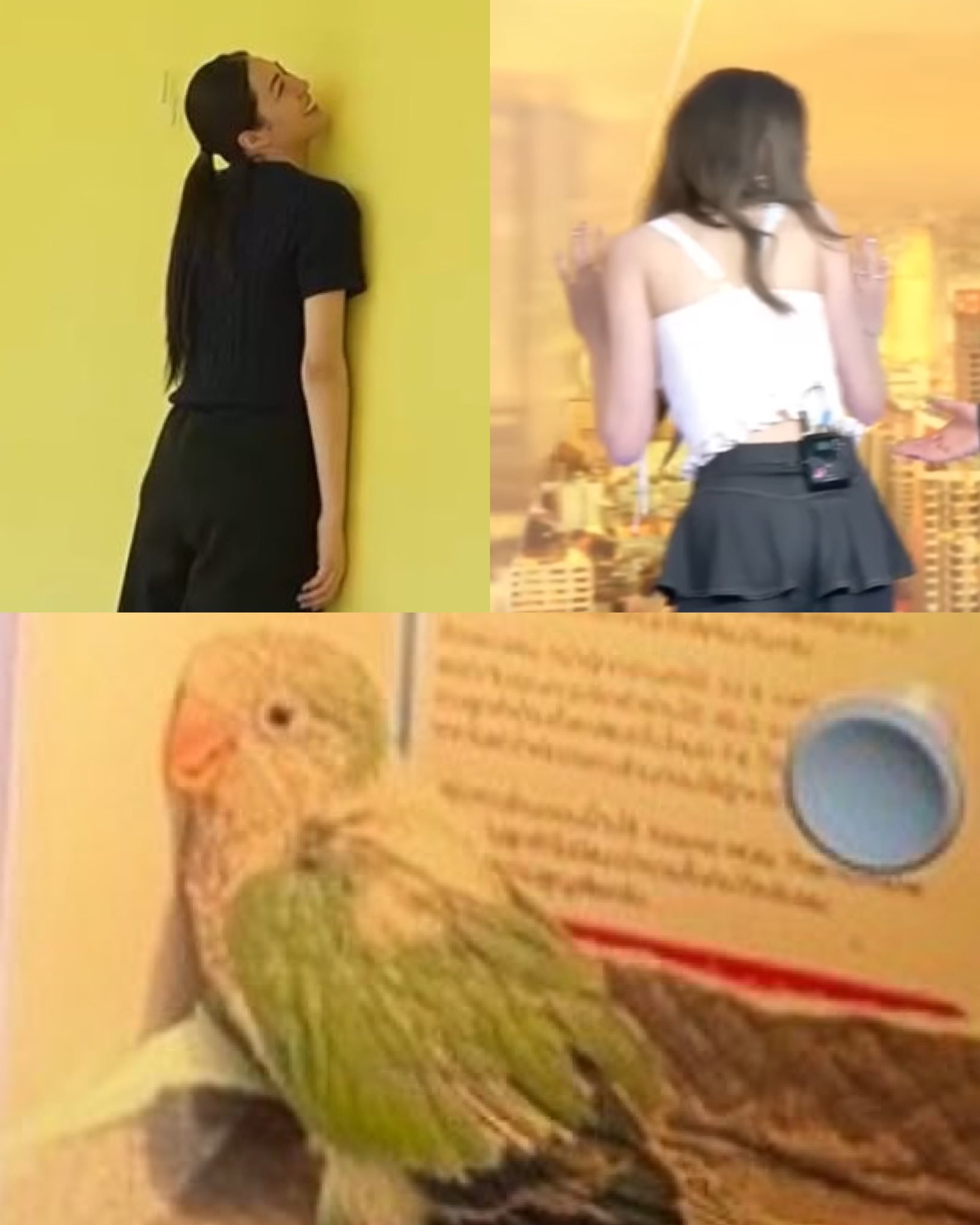 一家三口 ​​​