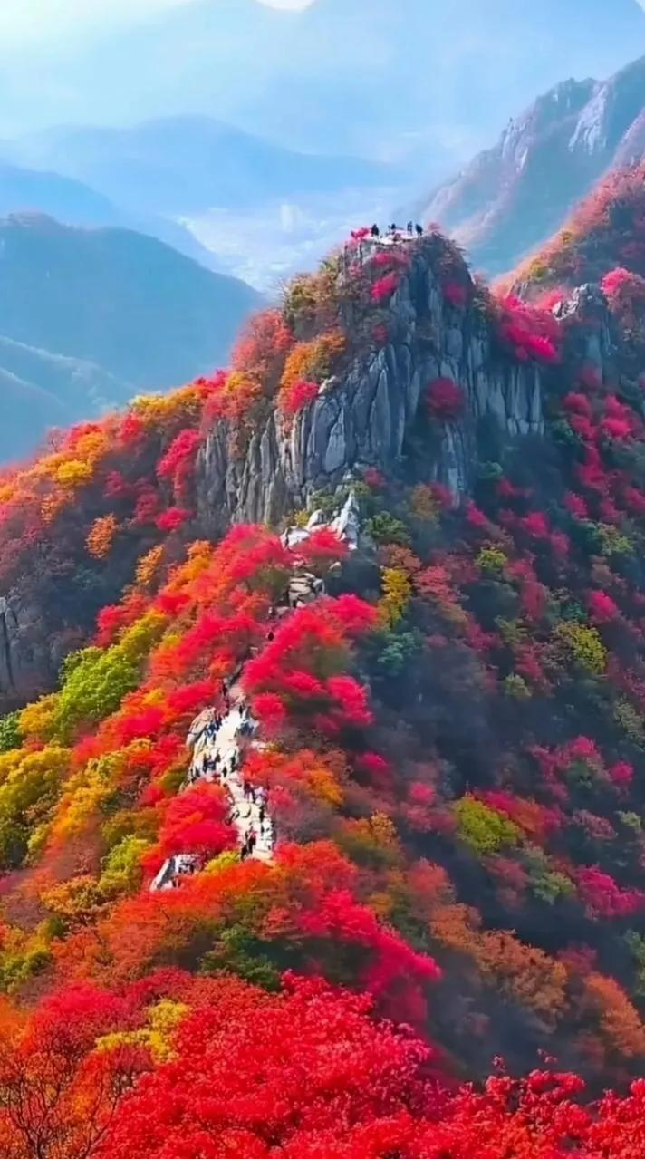 金风送秋爽人天，暑热全消无冬寒。
夏花落尽菊桂替，几树枫叶红满山。