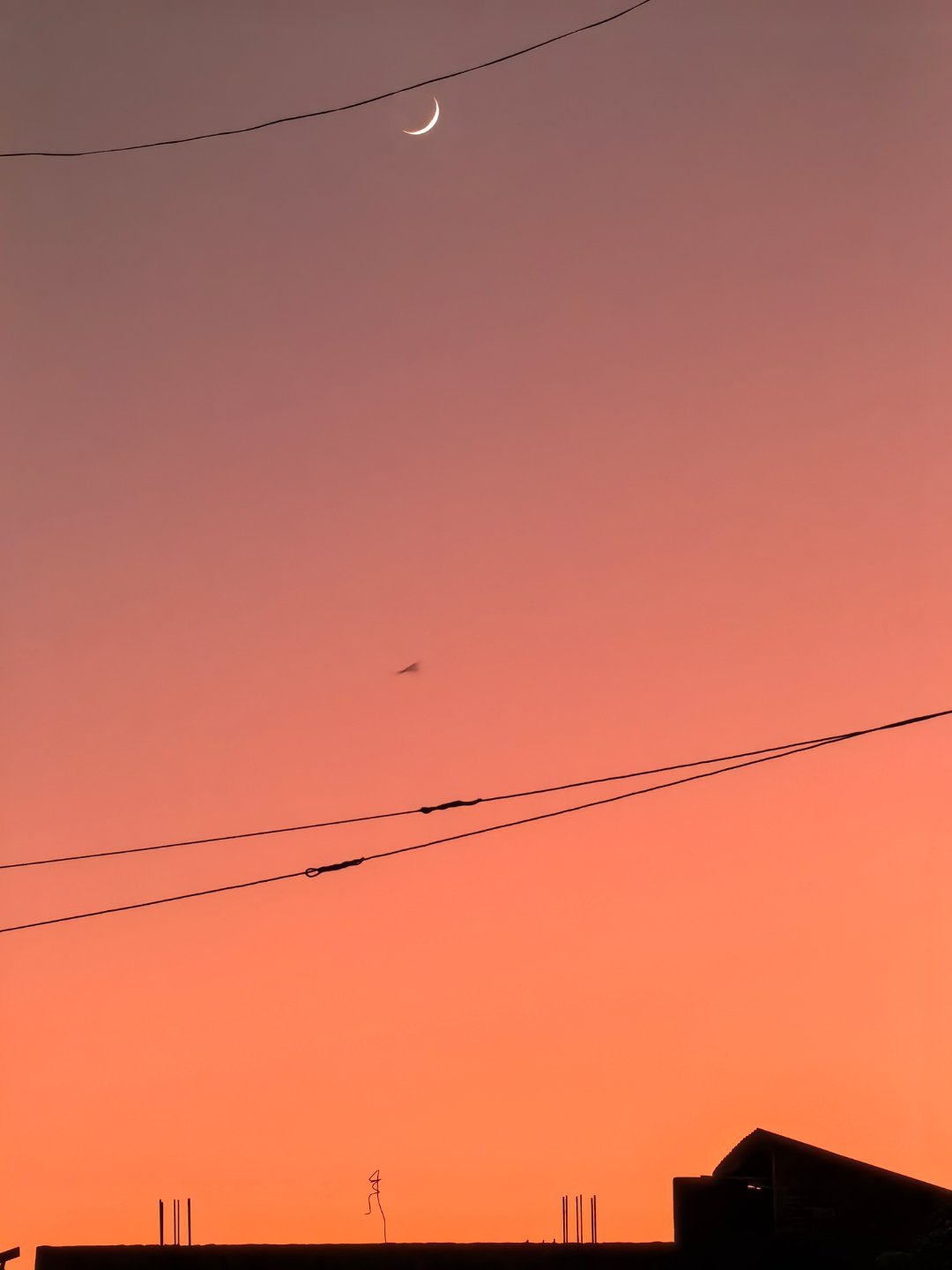 🌙一弯新月🌙 