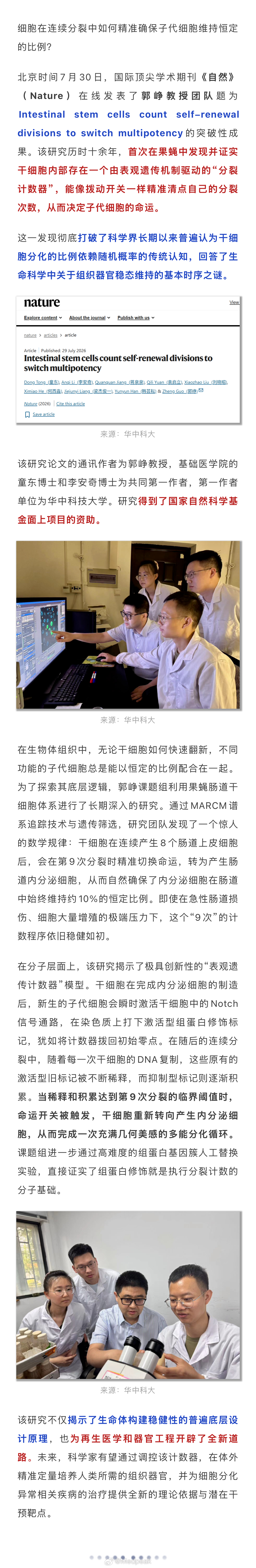 《Nature》重磅：历时十余年，破解组织器官稳态维持的基本时序之谜！ 