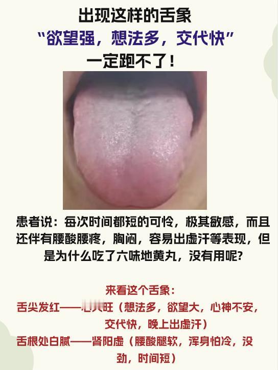 今日舌象分析