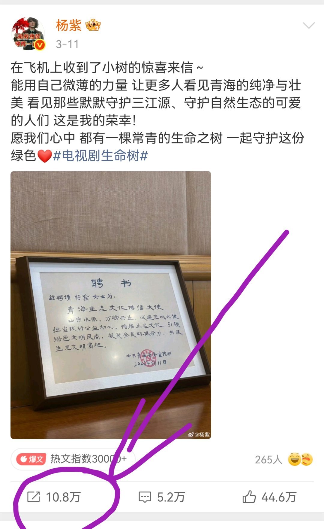 拜托紫米姐姐了，给杨紫买一点吧