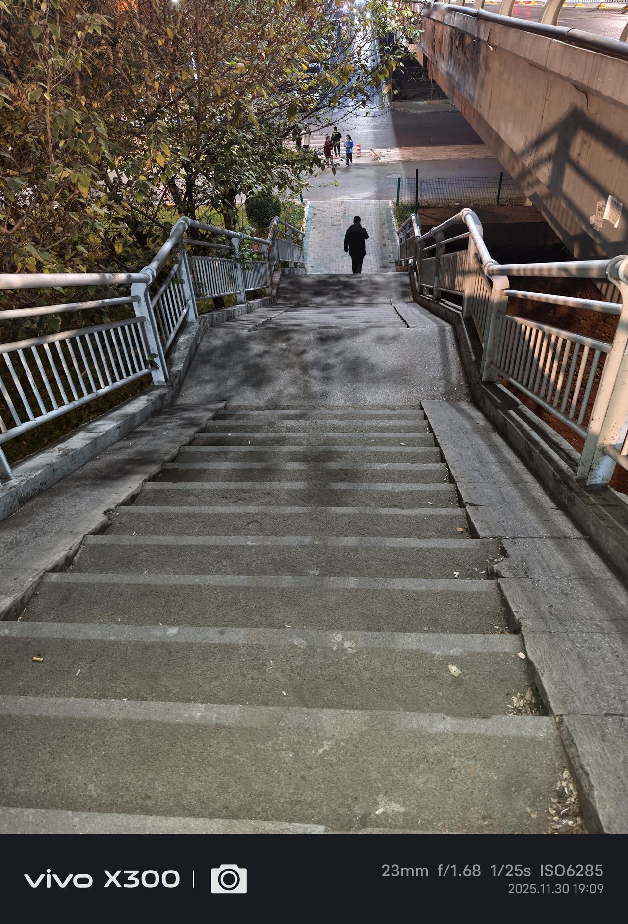 冬日生活打卡季 冬日生活就像一首别样的诗。初冬时节，风景美得像幅画。午后我去公园