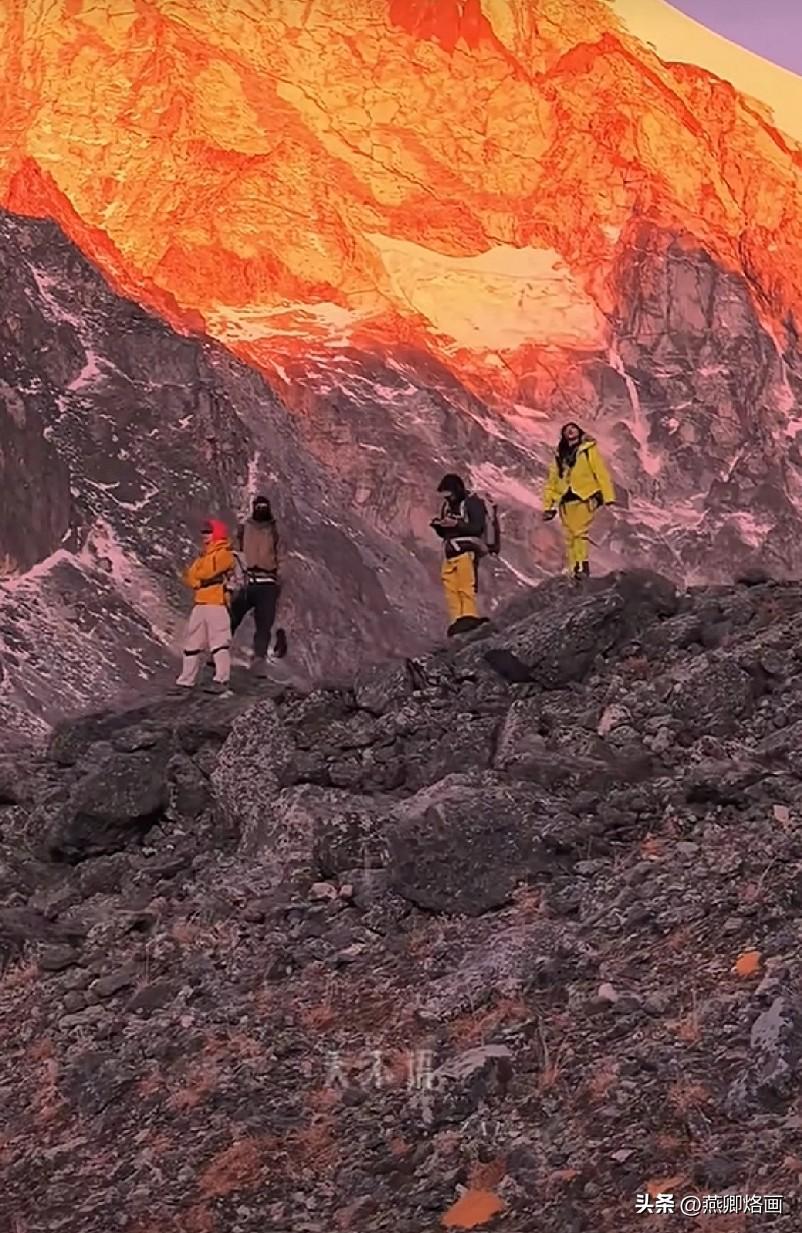 生命的本质是什么以碳基物质为载体，能自主代谢能量、自我复制、响应环境，并通过遗传