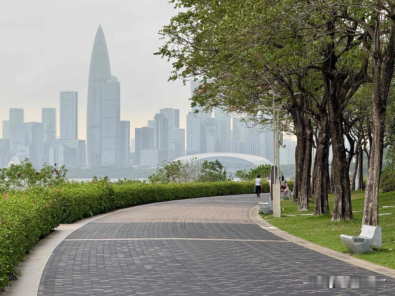 深圳湾骑行，那快乐真是绝了！沿着海岸线骑行，一边是波光粼粼的大海，一边是郁郁葱葱