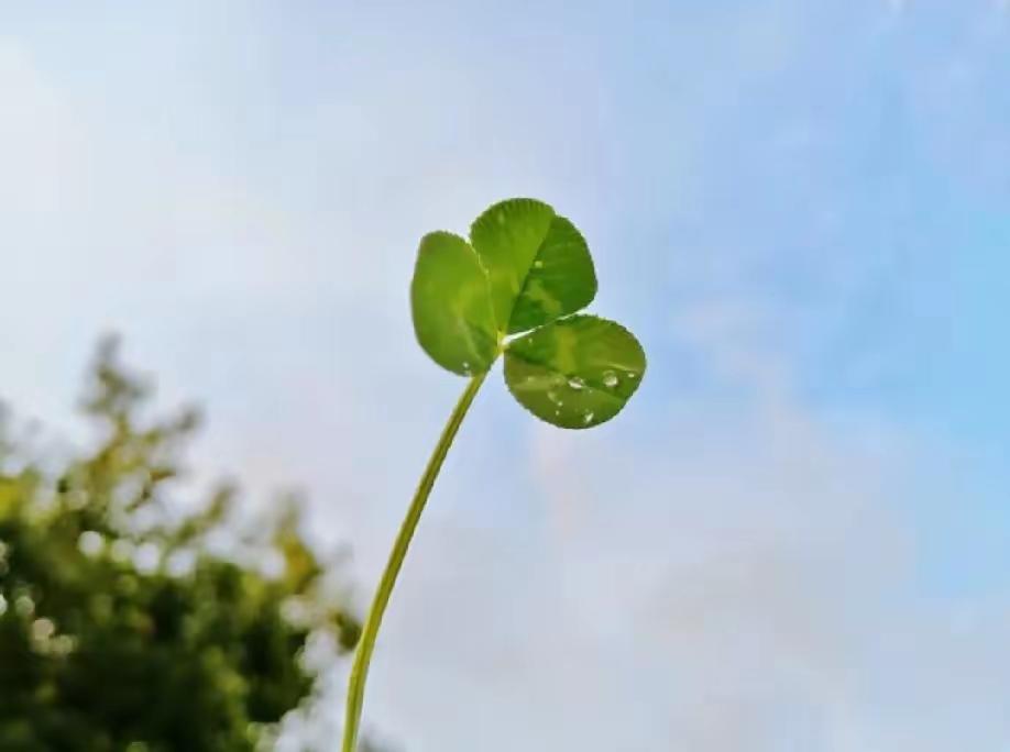 人生就是一个过程，
什么都不要太在意，
什么都不要太认真。
该来的总会来
该走的