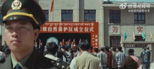 生命树 敢拍 感觉当年的真相远比想象中复杂，处理车子和人这种重活儿，孟一个人怎么