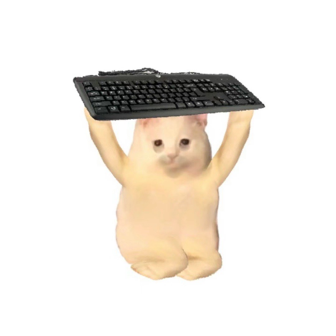 小猫头像[开学季] ​​​