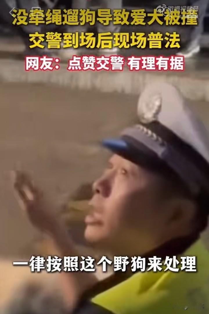 除狗患的好消息传来了，大快人心！

养狗成患，这是多年来的一个纠结让人心烦的事！