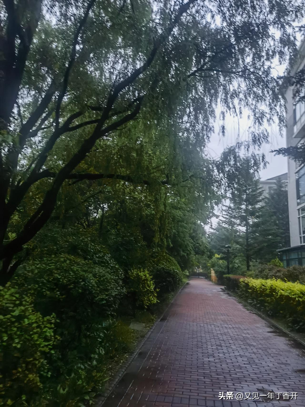 南京买房的初衷

儿子到南京的三年我们也算熬过最难的三年了

第一次去南京看儿子