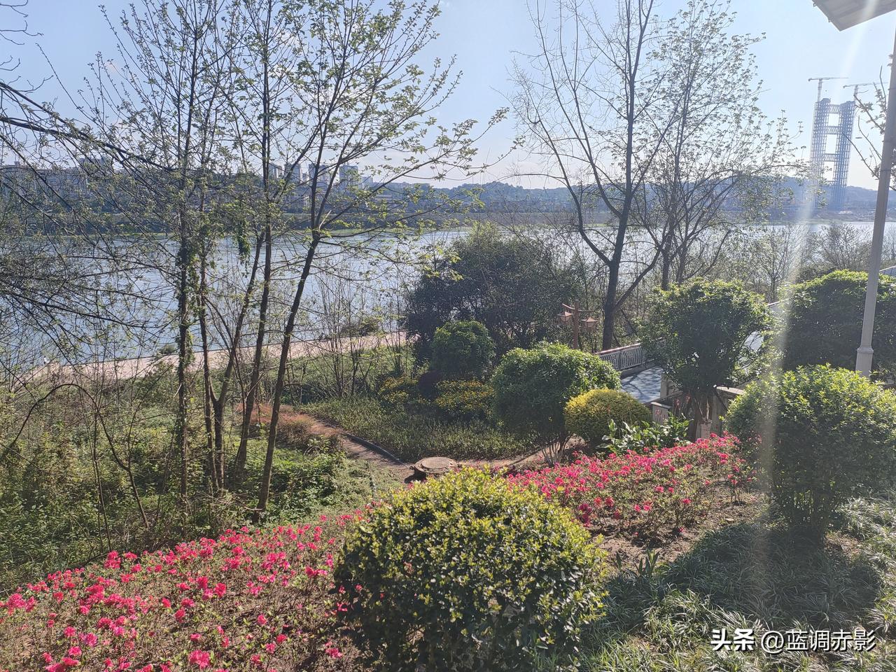 天南地北大拜年