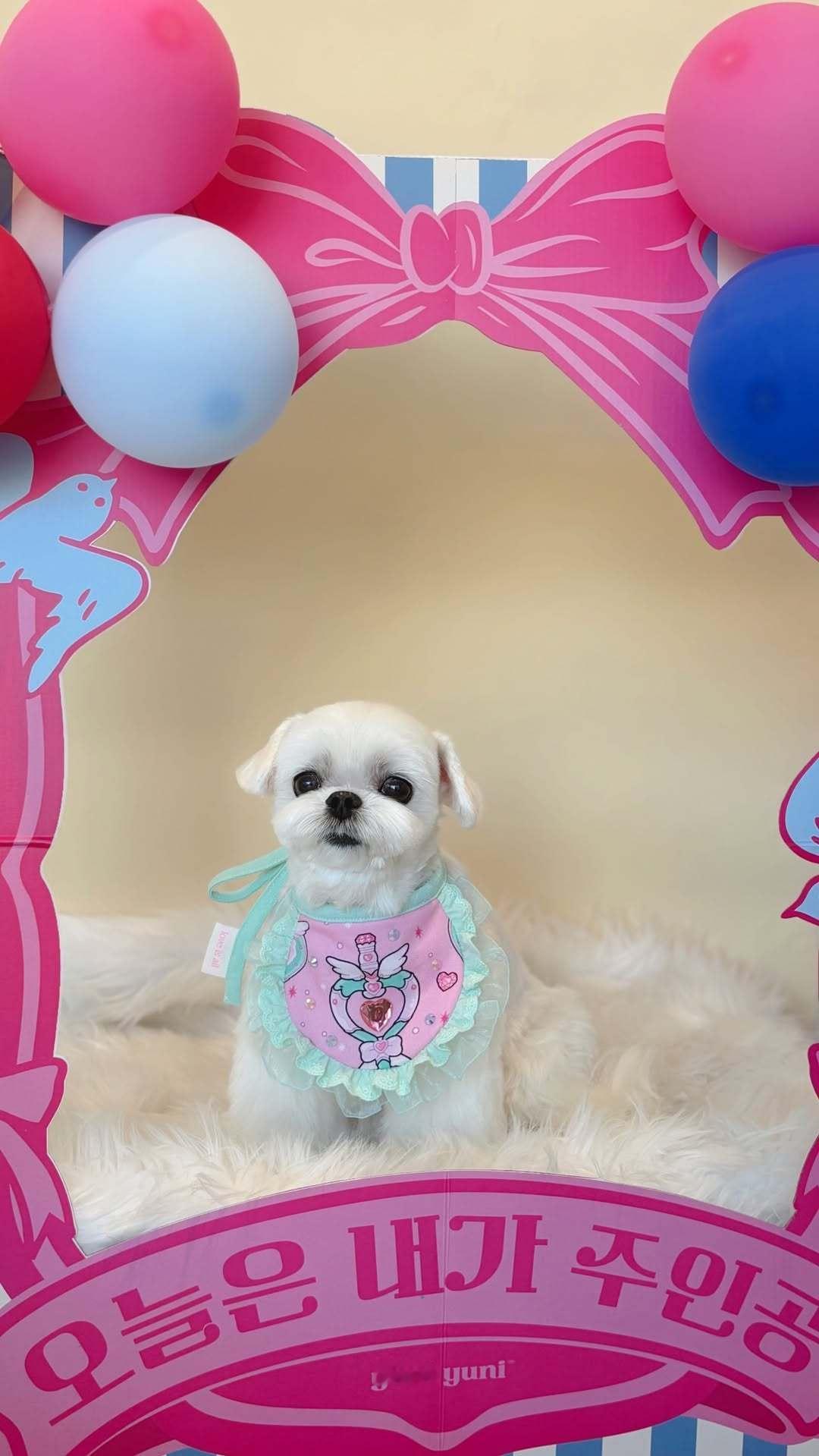 “CB百蓝_。260225利特 ins story更新： 